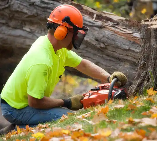 tree services Tuscarawas